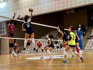 miovolley