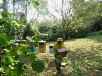 agricoltura sociale Gli Incontri del Mercoledì