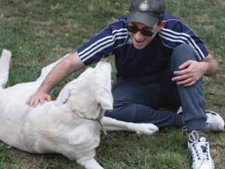 Piacenza-ragazzo-non-vedente-aggredito-con-il-suo-cane-guida