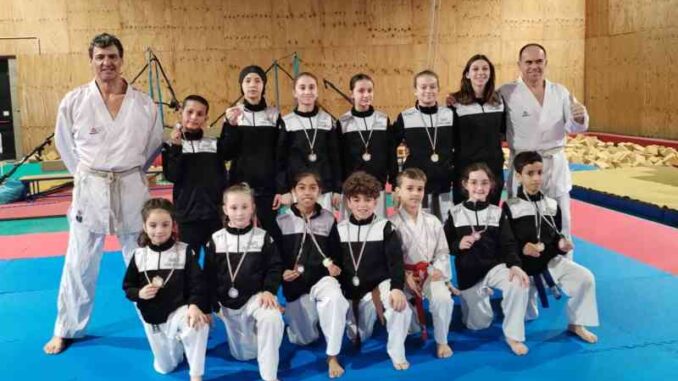 karate piacenza