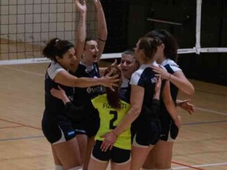 miovolley