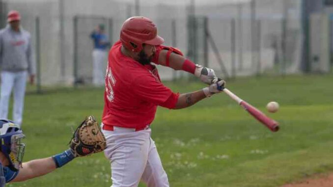 piacenza baseball