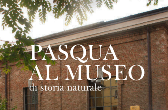 Pasqua 2024 al Museo civico di Storia Naturale