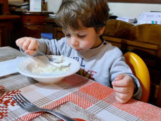 Pasti scolastici piacenza menù genitori