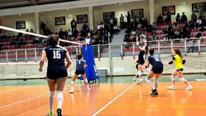 miovolley