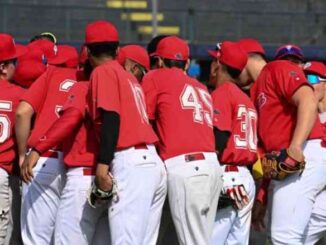 piacenza baseball