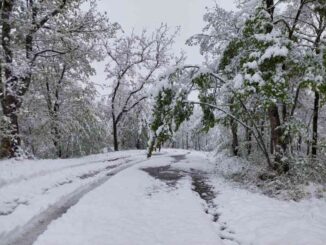 Continua a nevicare sulla montagna piacentina