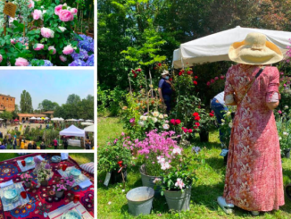 ottava edizione Frutti del Castello speciale giardini