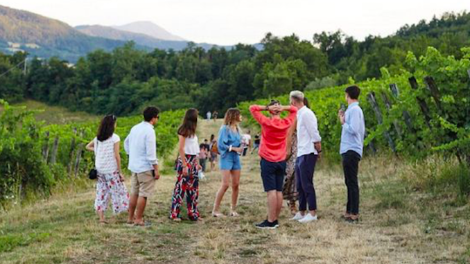 Cantine Aperte al Poggiarello 2024