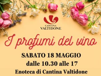 I profumi del vino alla Cantina Valtidone