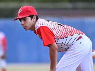 piacenza baseball