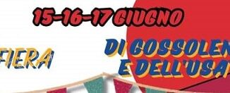 Fiera-dellusato-di-Gossolengo-41°-edizione-dal-15-al-17-giugno