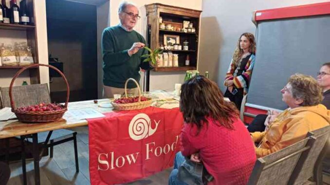 Orti-progetto-Prossima-Fermata-tra-quelli-di-comunita-Slow-Food