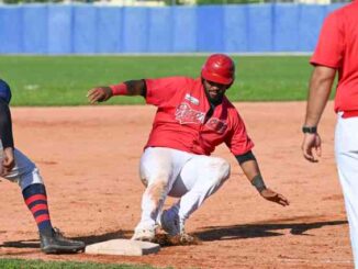 piacenza baseball