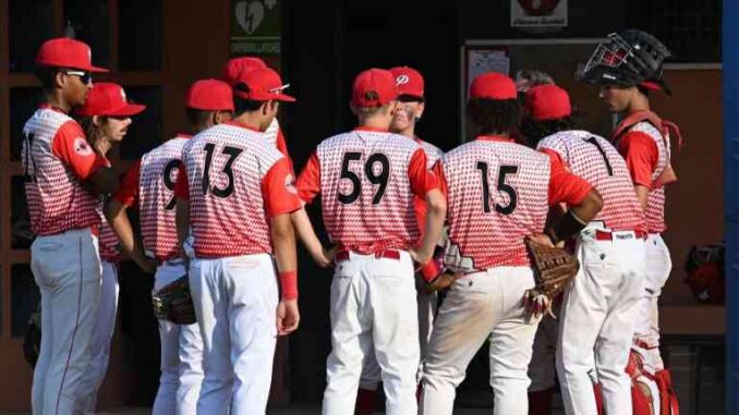 piacenza baseball