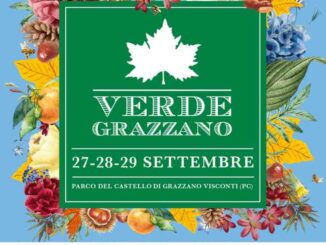 Verde Grazzano 2024