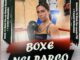 La Boxe nel Parco firmata Salus et Virtus il 14 e 15 settembre