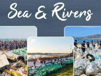 Sea-Rivers-Decalacque-e-Plastic-Free-insieme-per-lambiente