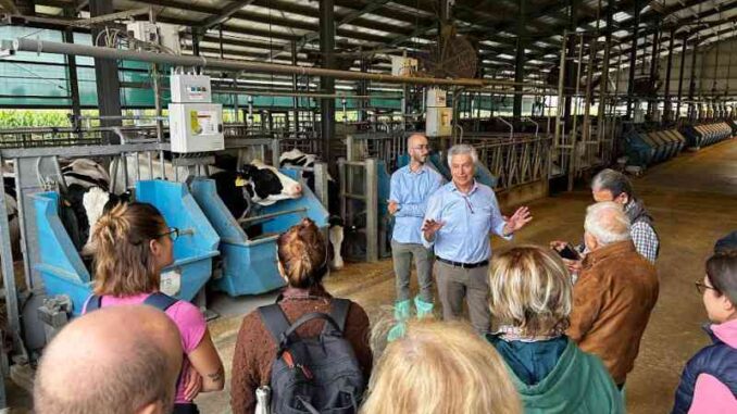 Benessere animale, nuovo progetto dell'Università Cattolica. Erminio Trevisi: “A Piacenza grandi passi avanti nel tempo sul tema” - AUDIO 