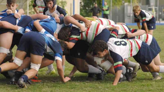 omnia rugby