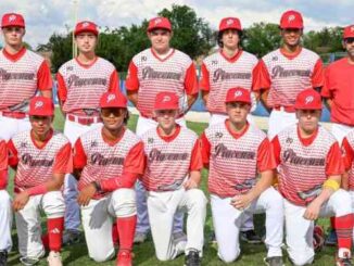 piacenza baseball