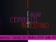 Lasse-cervello-intestino-convegno-a-Piacenza-sabato-26-ottobre