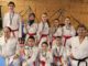 karate piacenza